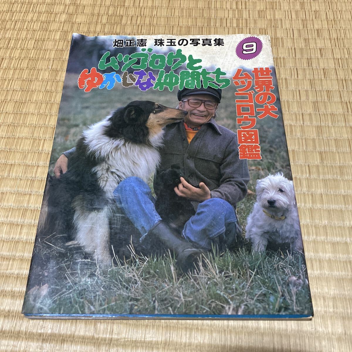 x449)ムツゴロウとゆかいな仲間たち 1～10巻/畑正憲/朝日出版社/動物 