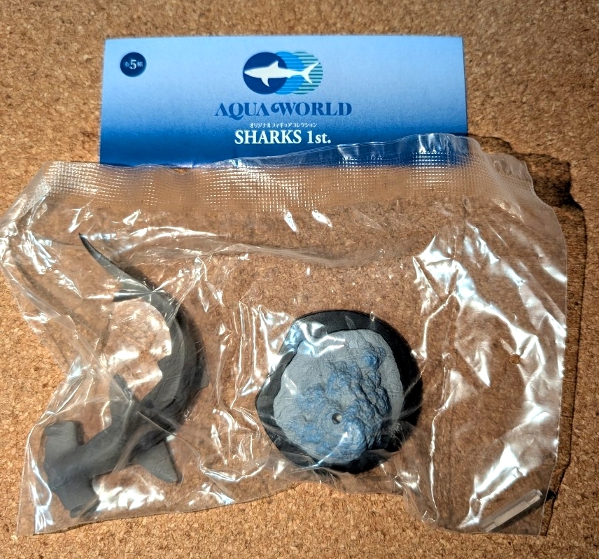 中古】シュモクザメ頭骨 ☆ 頭骨 標本 剥製 サメ 歯 顎の落札情報詳細