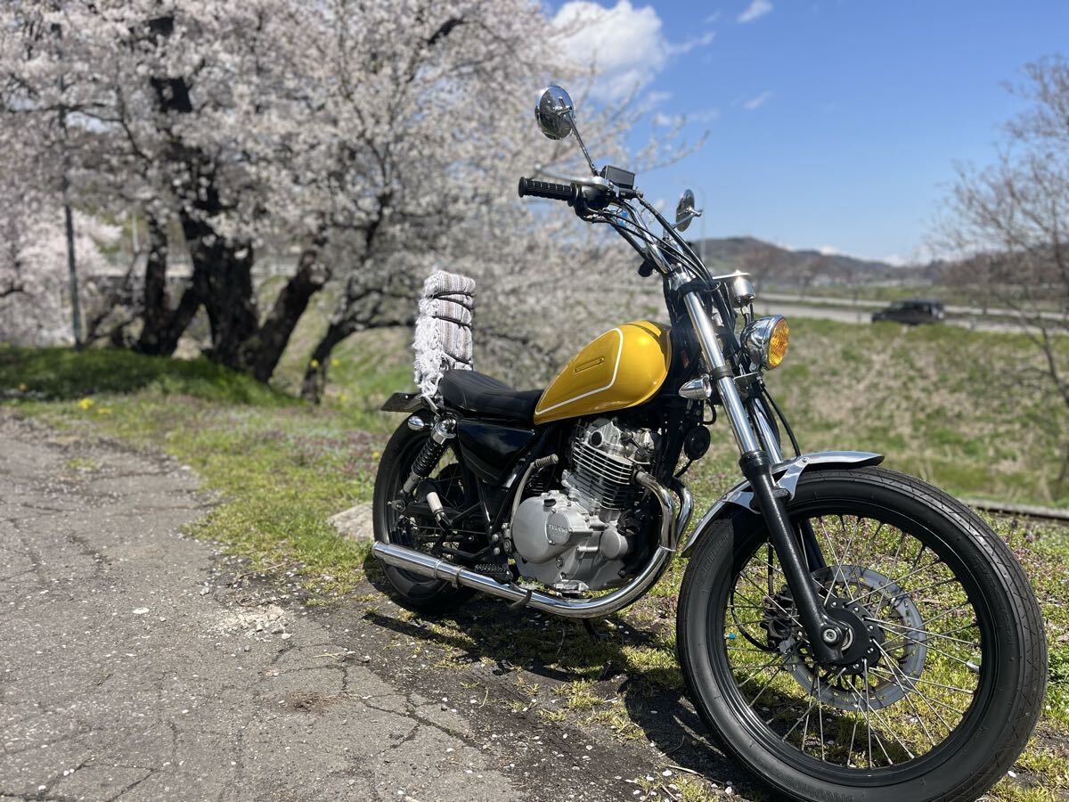 スズキ ボルティー250☆NJ47A☆カスタム車 セパハン トラッカー スズキ ボルティー250☆NJ47A☆カスタム車 セパハン トラッカー