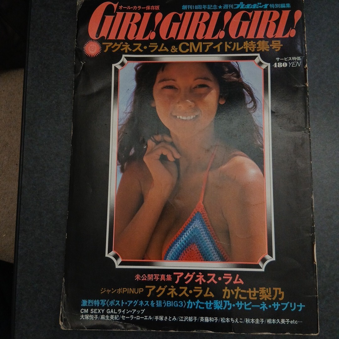 やや傷や汚れあり】大型ポスター アグネスラム 松本ちえこ 水着の落札