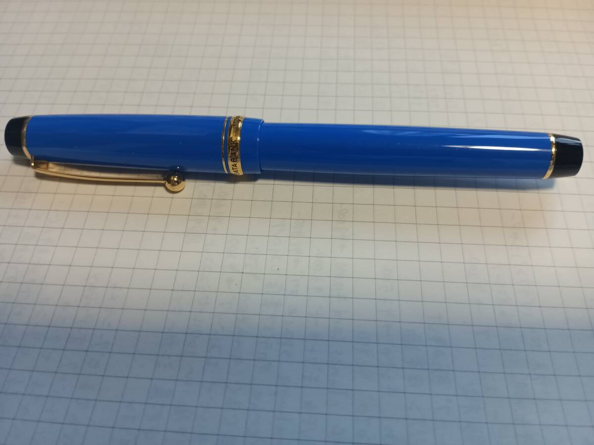 新品】パイロット PILOT 創立100周年 株主優待 株主限定 万年筆