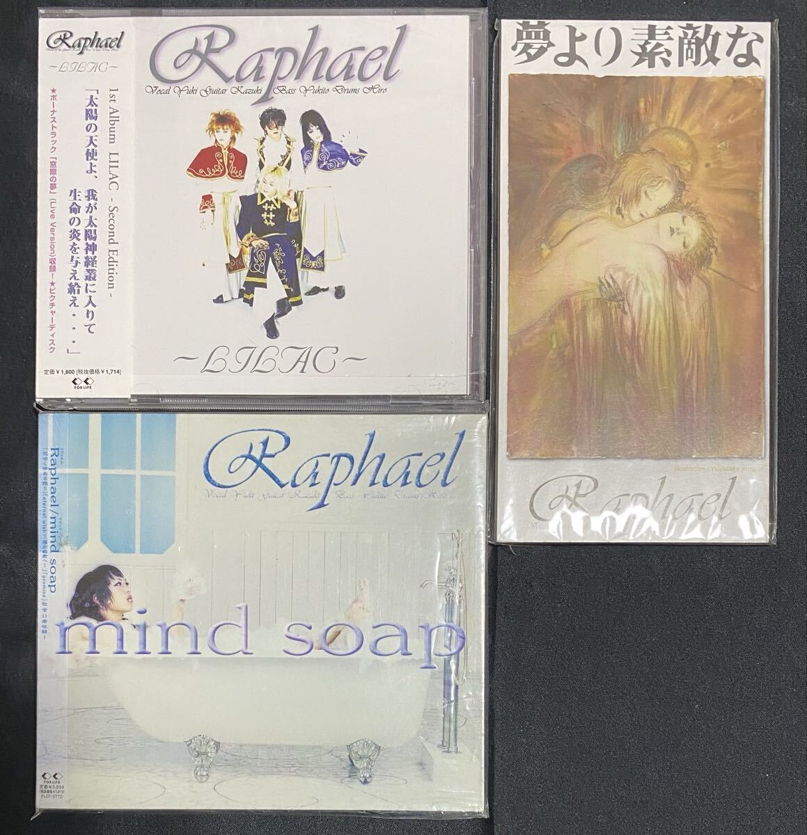 激レア！Raphael 会報 天々団 四号 4号 ラファエル 会報 廃盤 華月
