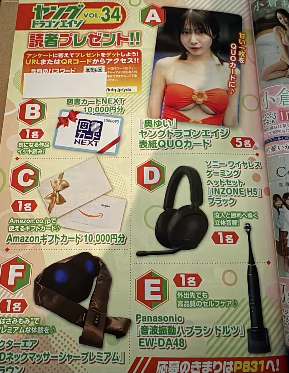 未使用】□応募ページ□ヤングドラゴンエイジ Vol.31 ペイトン尚未