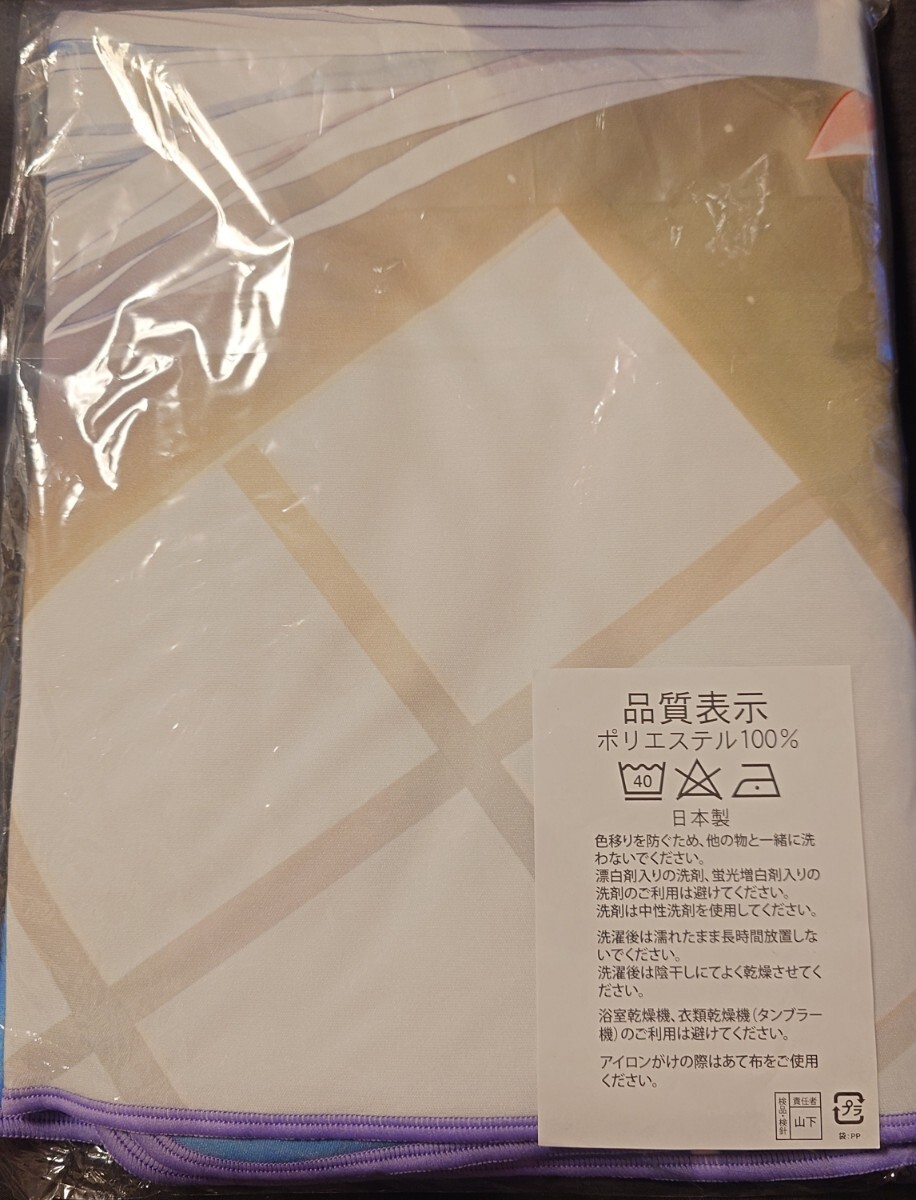 新品】【ebten エビテン 特典】Summer Pockets REFLECTION BLUE key