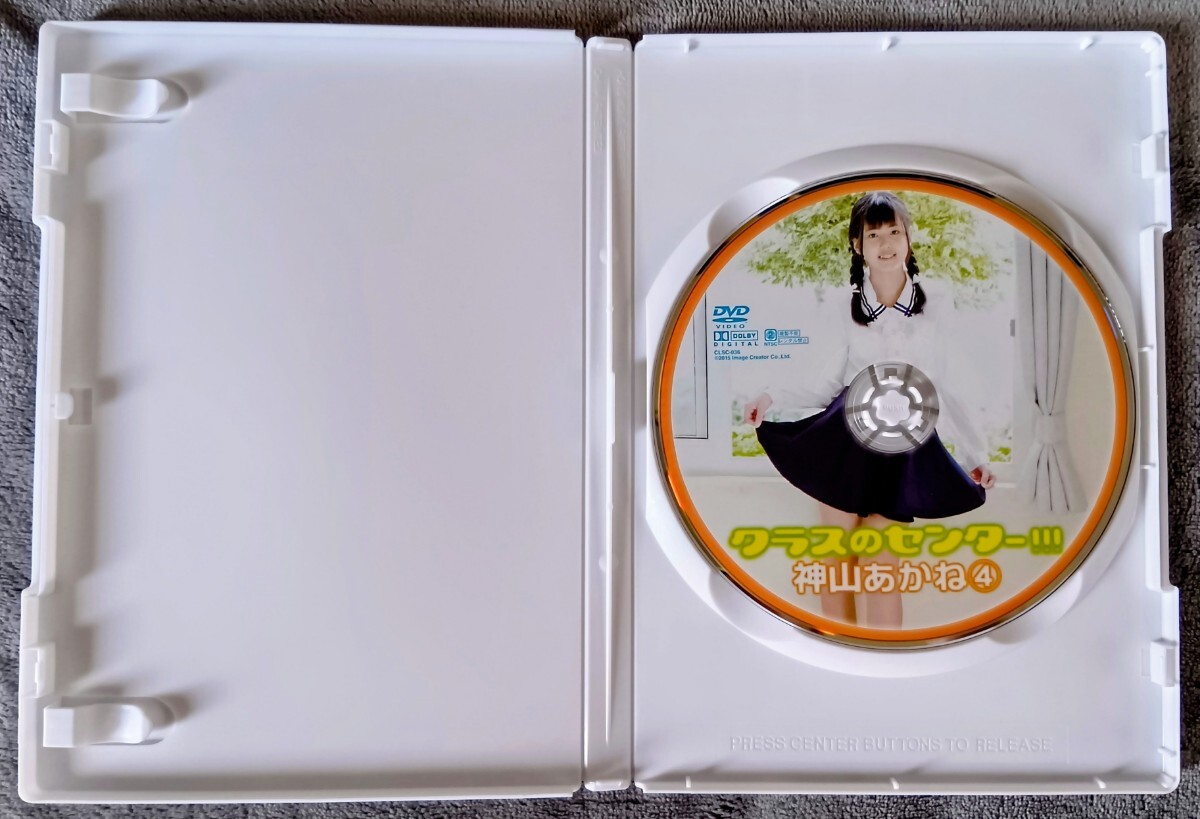 未使用に近い】☆廃盤 希少品 DVD☆ 西野華 『Flower Garden