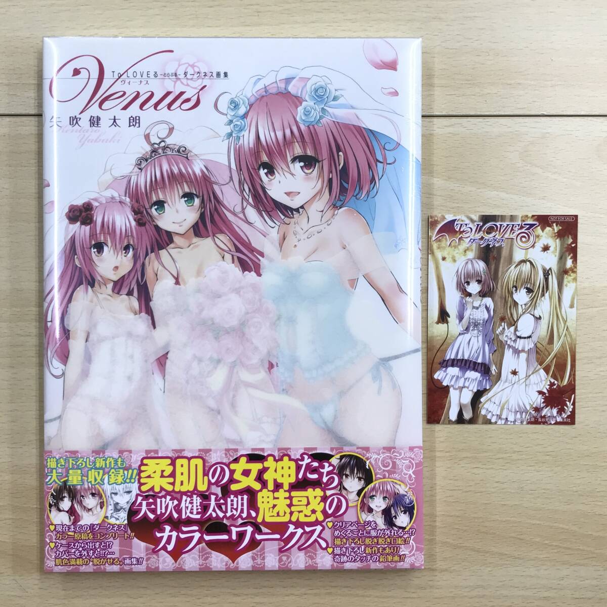 未使用】【新品】とらぶるダークネス 結城美柑 水着 A3クリアポスター