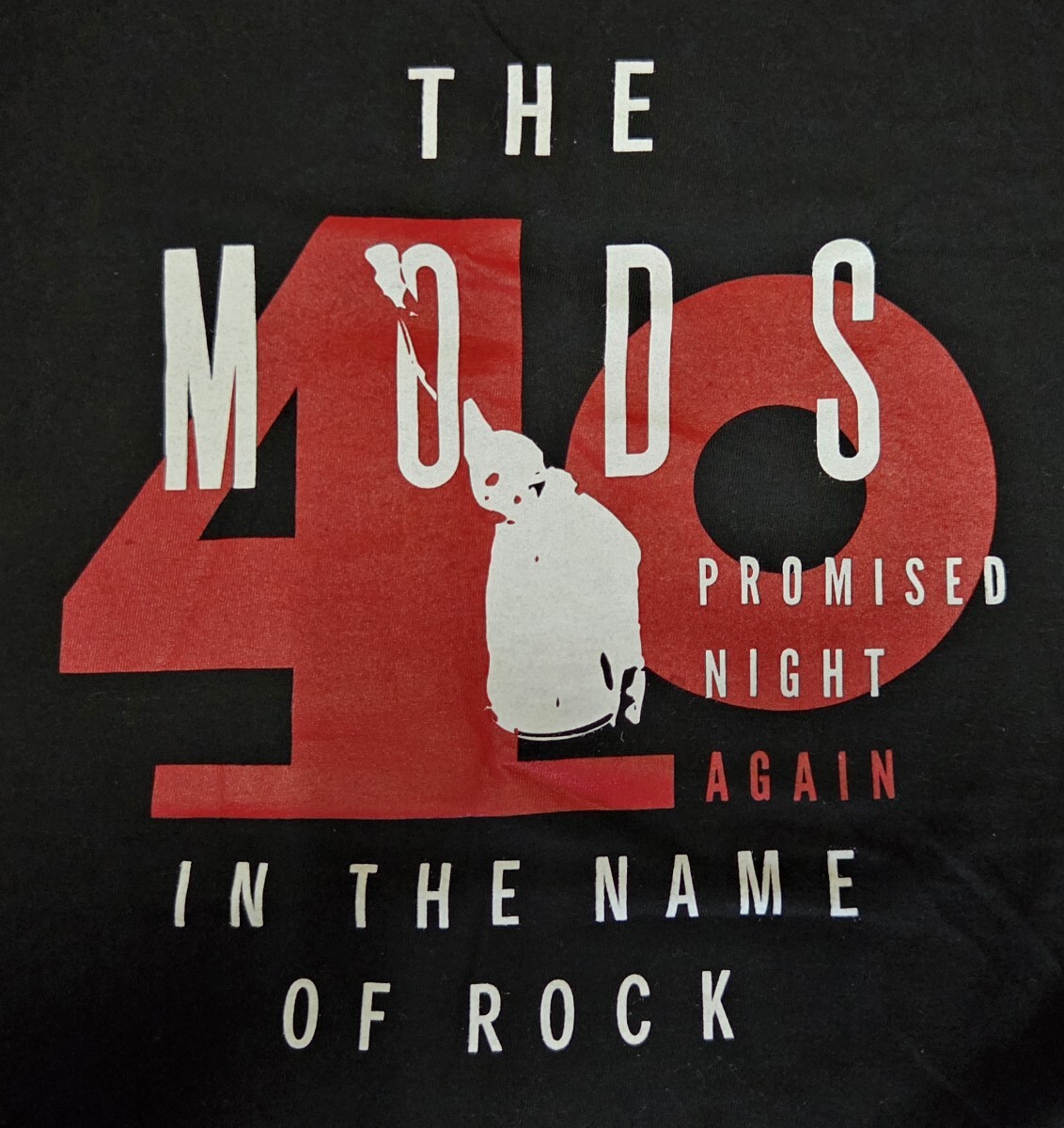 ☆値下 MOON ムーン レゲエマスター THE MODS 森山達也モデル風の落札