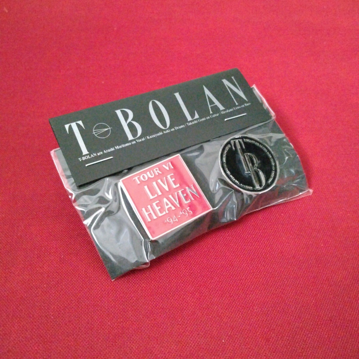 T-BOLAN ティーボラン1993～'94年コンサートライブツアーパンフレット