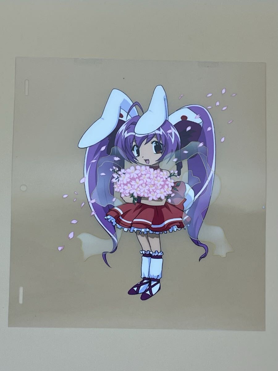 中古】(レア) デ・ジ・キャラット うさだヒカル Tシャツ COSPAの落札