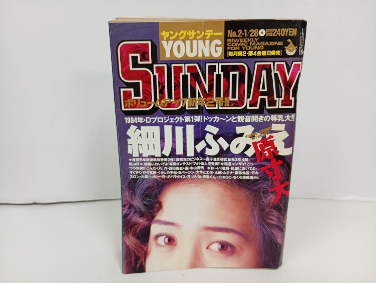 ヤングサンデー増刊号・大漫王・山田玲司他・1994年9月・小学館の落札