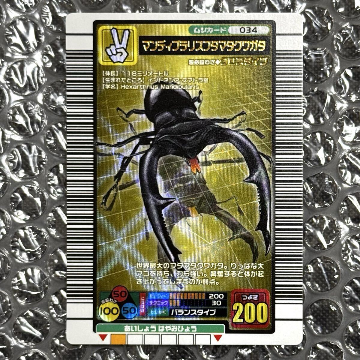 ◎中古品◎『マンディブラリスフタマタクワガタ 金レア』 034