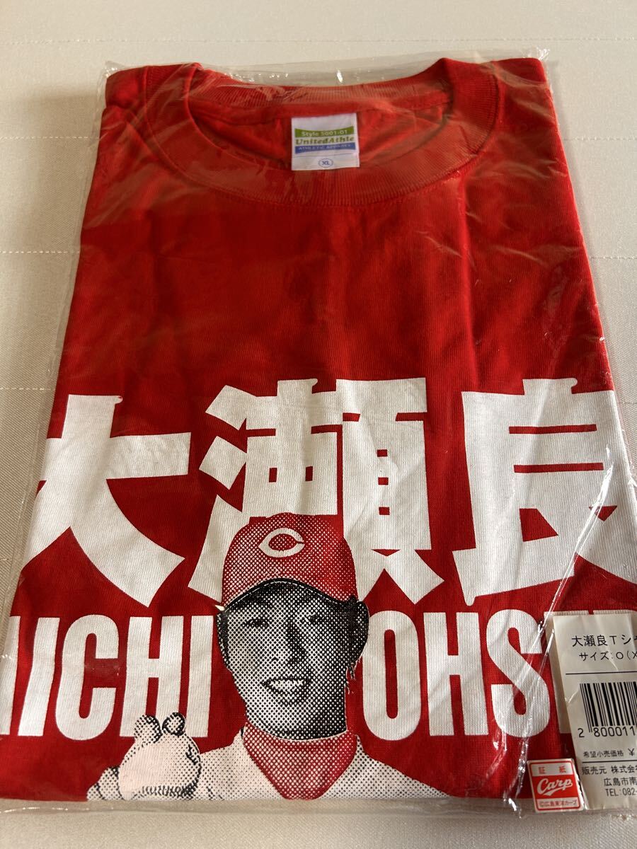 広島カープ 主力14選手 直筆サイン入りロゴ色紙セット 大瀬良大地 黒田
