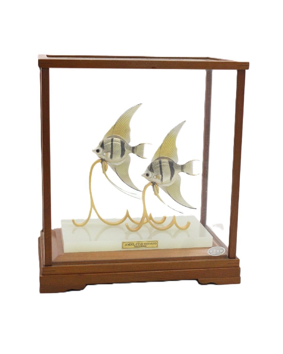 新品】手のひら水族館 AQUARIUM (アクアリウム) エンゼルフィッシュ