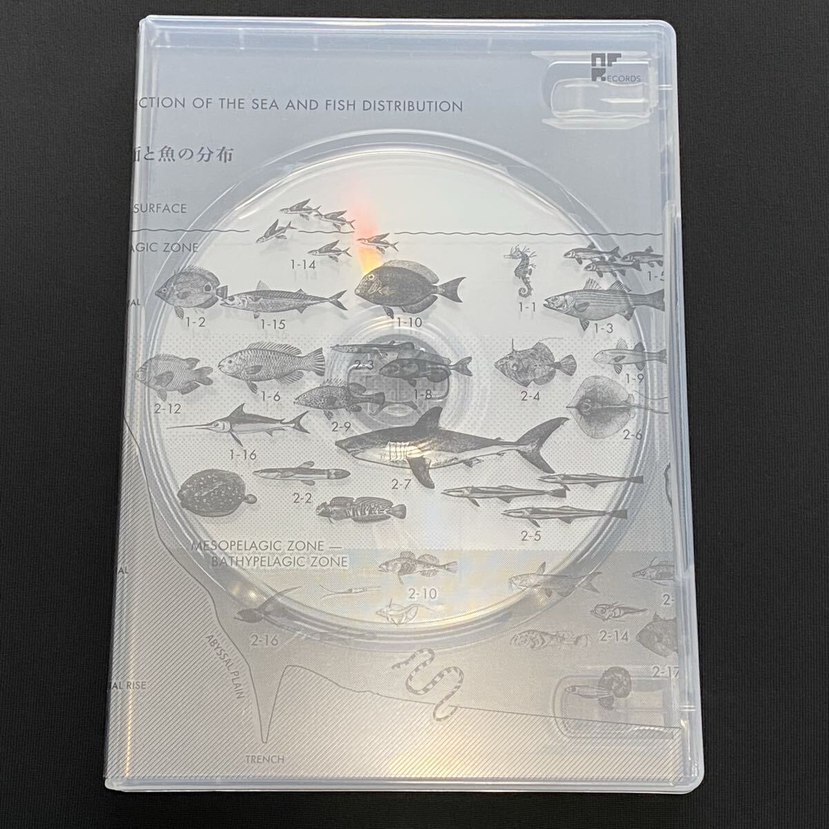 ☆送料無料☆サカナクション ベストアルバム「魚図鑑」 CD3枚組（浅瀬