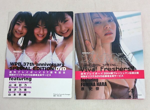 新品】井上和香 等身大ポスター 週刊プレイボーイ 応募者全員サービス