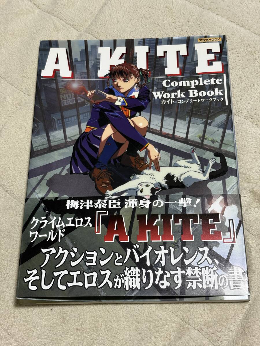 カイト コンプリートワークブック A KITE Complete Work Book 設定資料