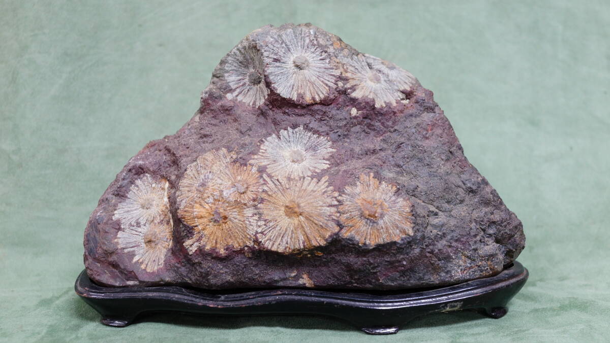 佐渡 雷光石 碧玉 台座付き 水石の落札情報詳細 - Yahoo!オークション