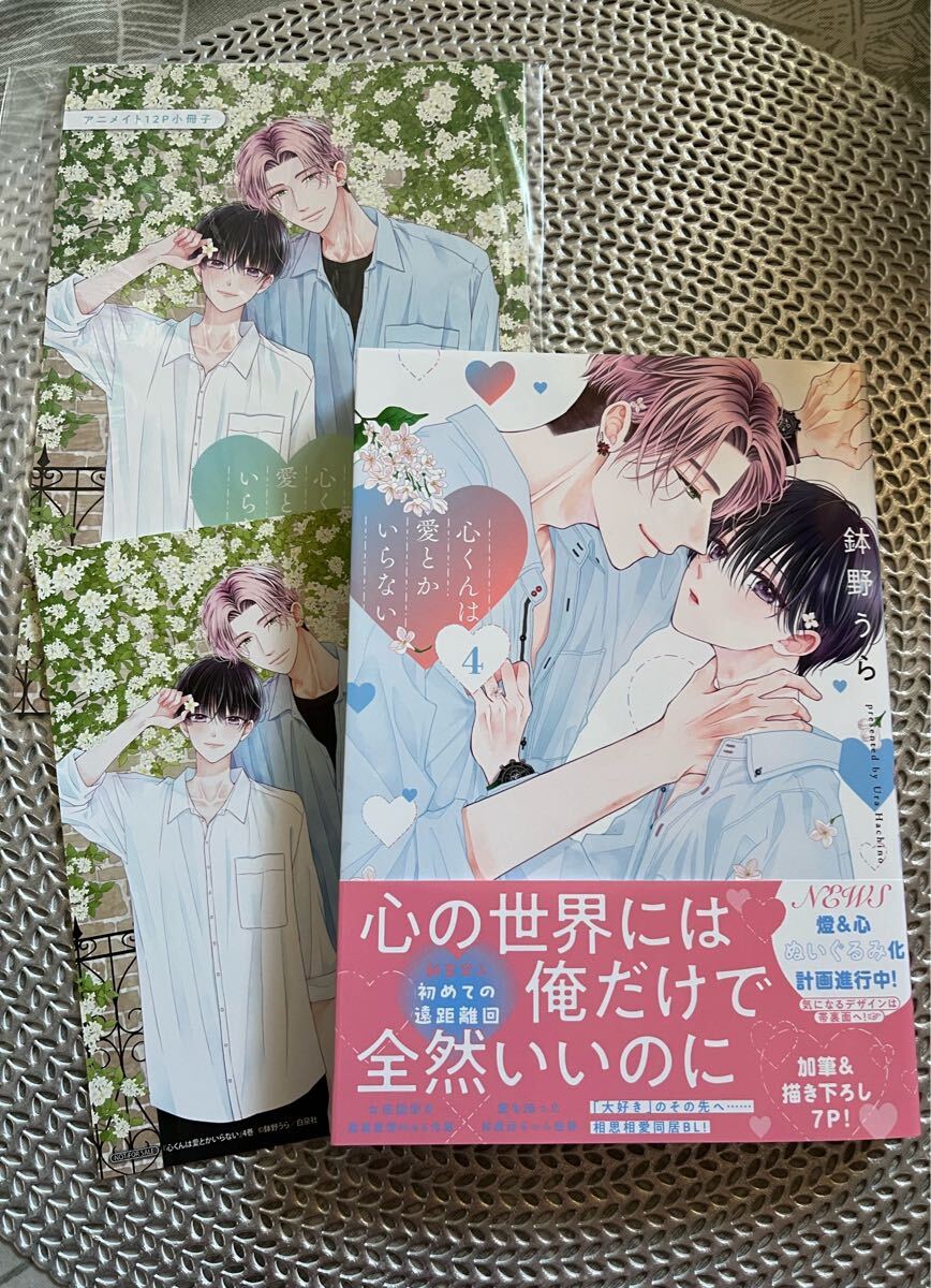 匿名配送 コミック100冊セットまとめ売り 【匿名配送】②BL コミック