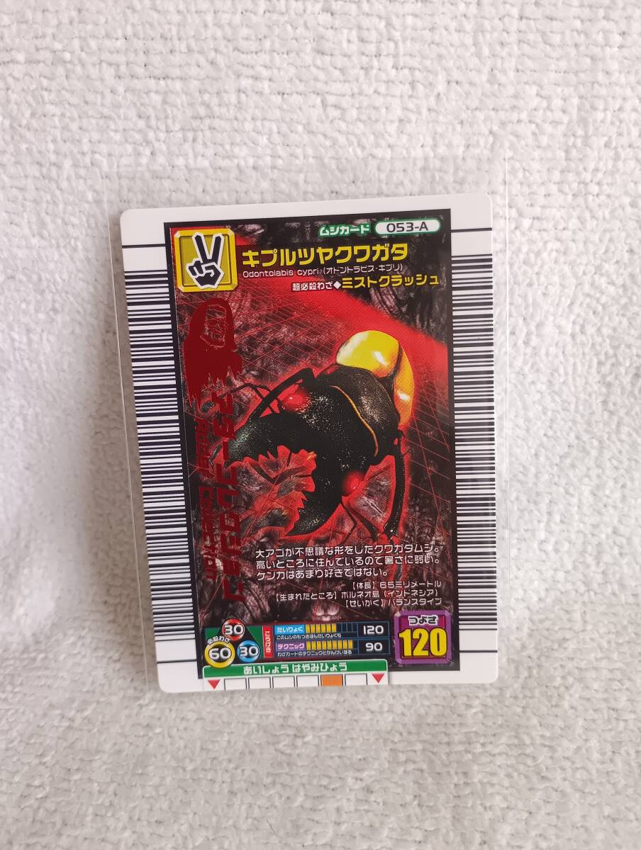 ムシキング 5周年 コレクションカード 第2弾 キプルツヤクワガタ