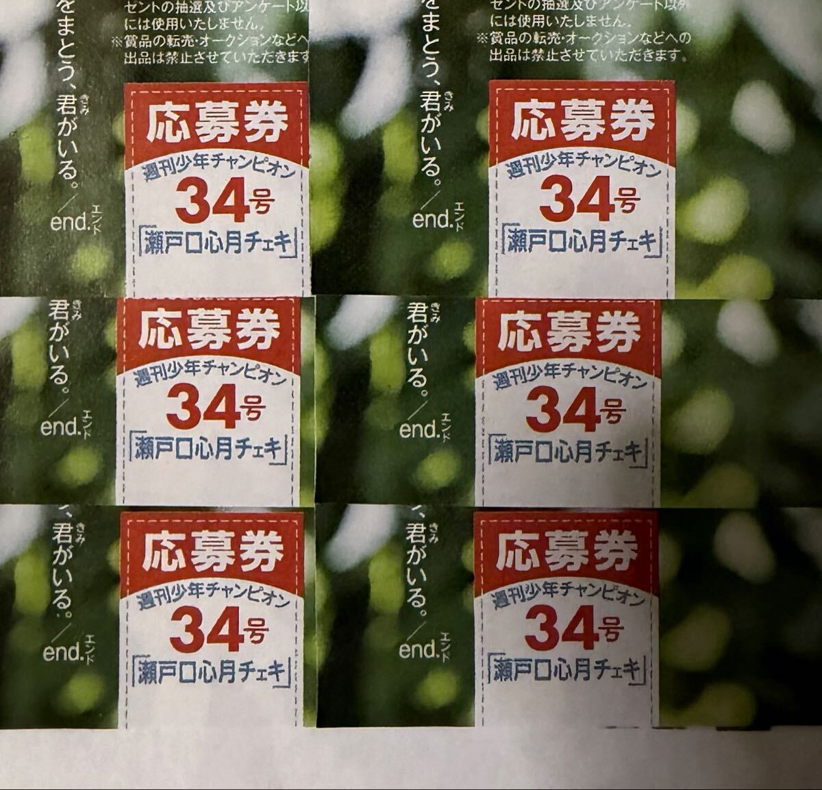 未使用】榎原依那 直筆サイン入りチェキ応募券 応募用紙 少年