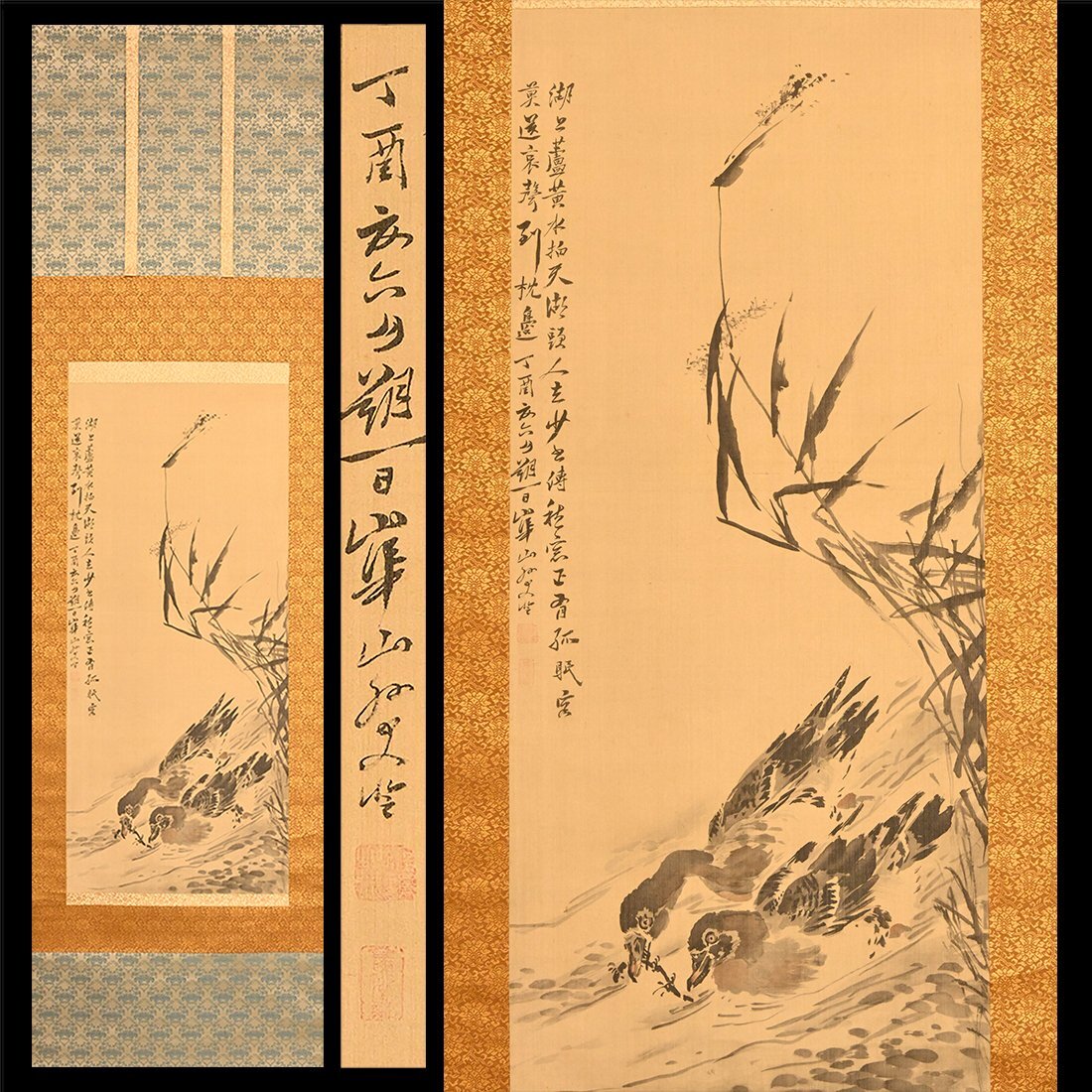 真作】○渡辺崋山○孔雀図○肉筆○掛軸○掛け軸○日本画○の落札情報