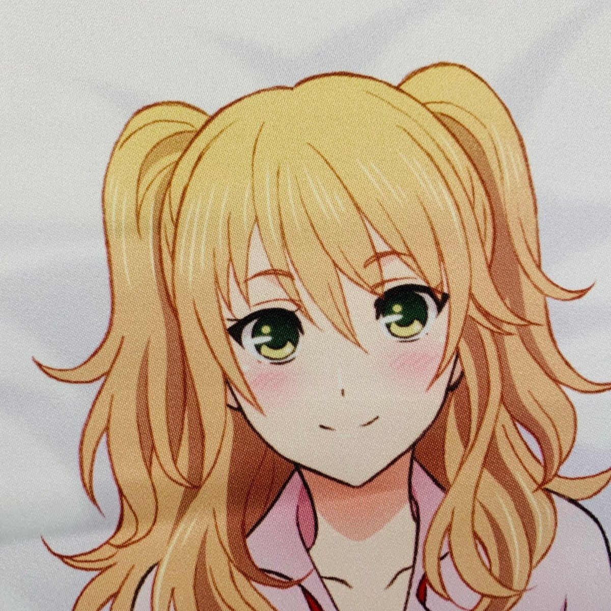 新品】citrus 9巻 アニメイト限定タペストリー サブロウタ描き下ろし