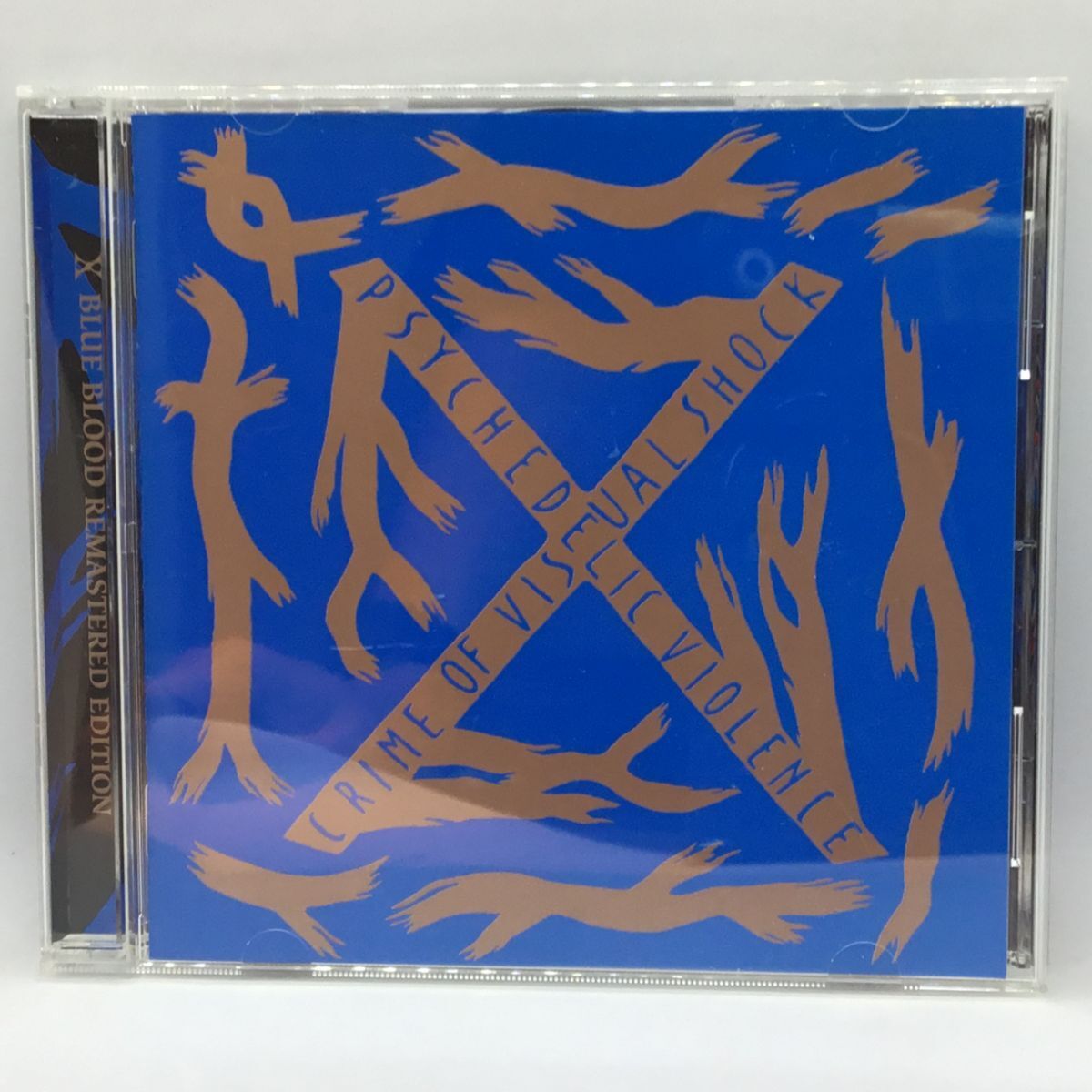 非売品】 X JAPAN BLUE BLOOD ポスター YOSHIKI TAIJI Toshl hide PATA