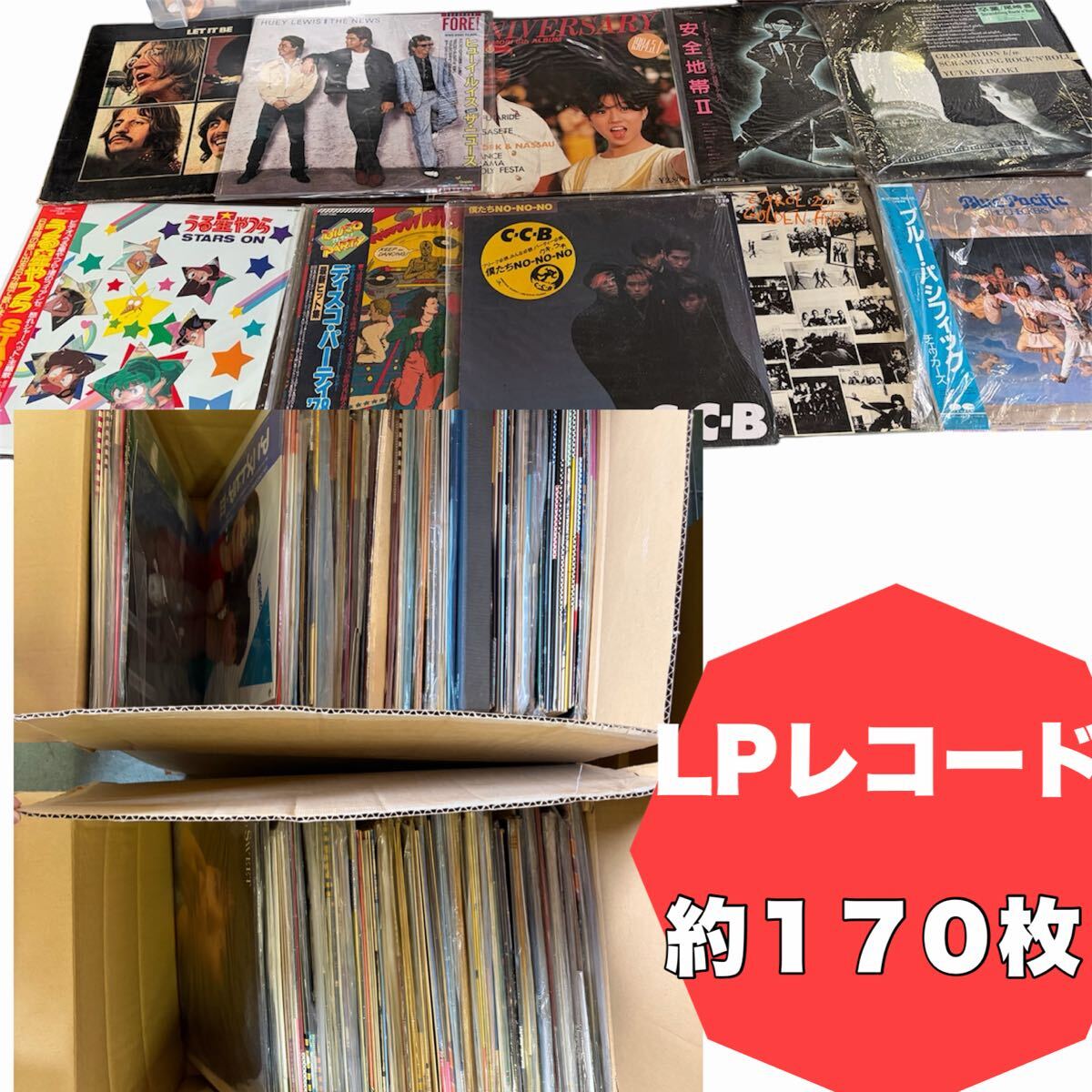 中古】【EPレコード】望月浩 野菊は哀し僕の花 二人の涙はひとつ 昭和