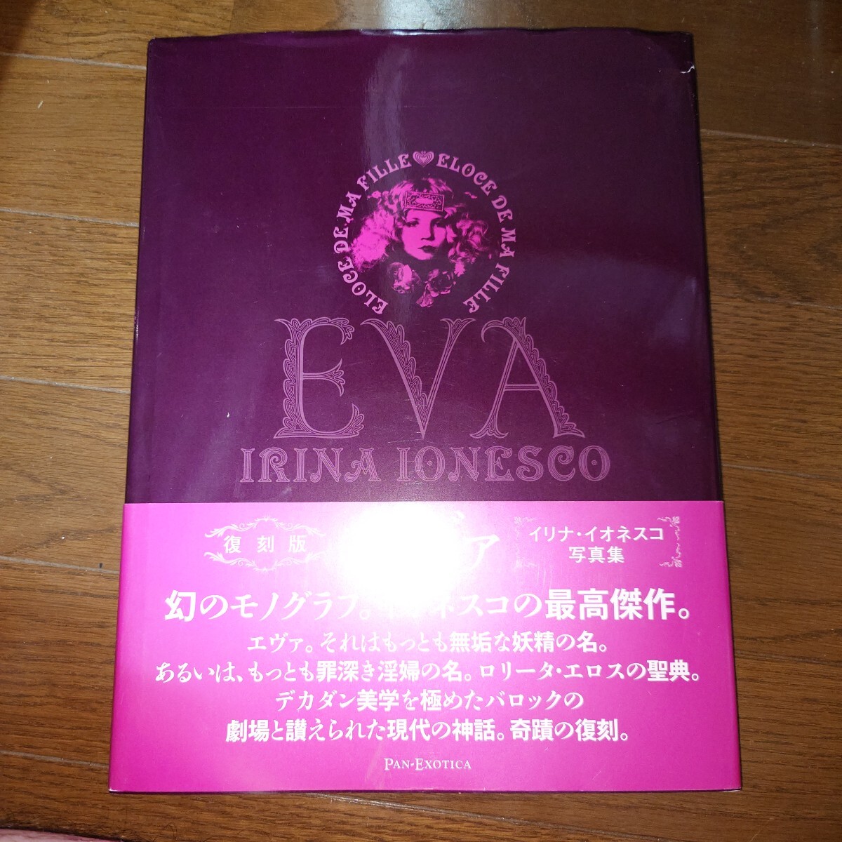 未使用に近い】復刻版 エヴァ 『R』 イリナ・イオネスコ 写真集 絶版