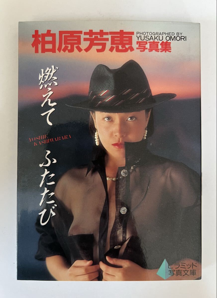 やや傷や汚れあり】柏原芳恵 写真集 燃えて ふたたび ピラミッド写真