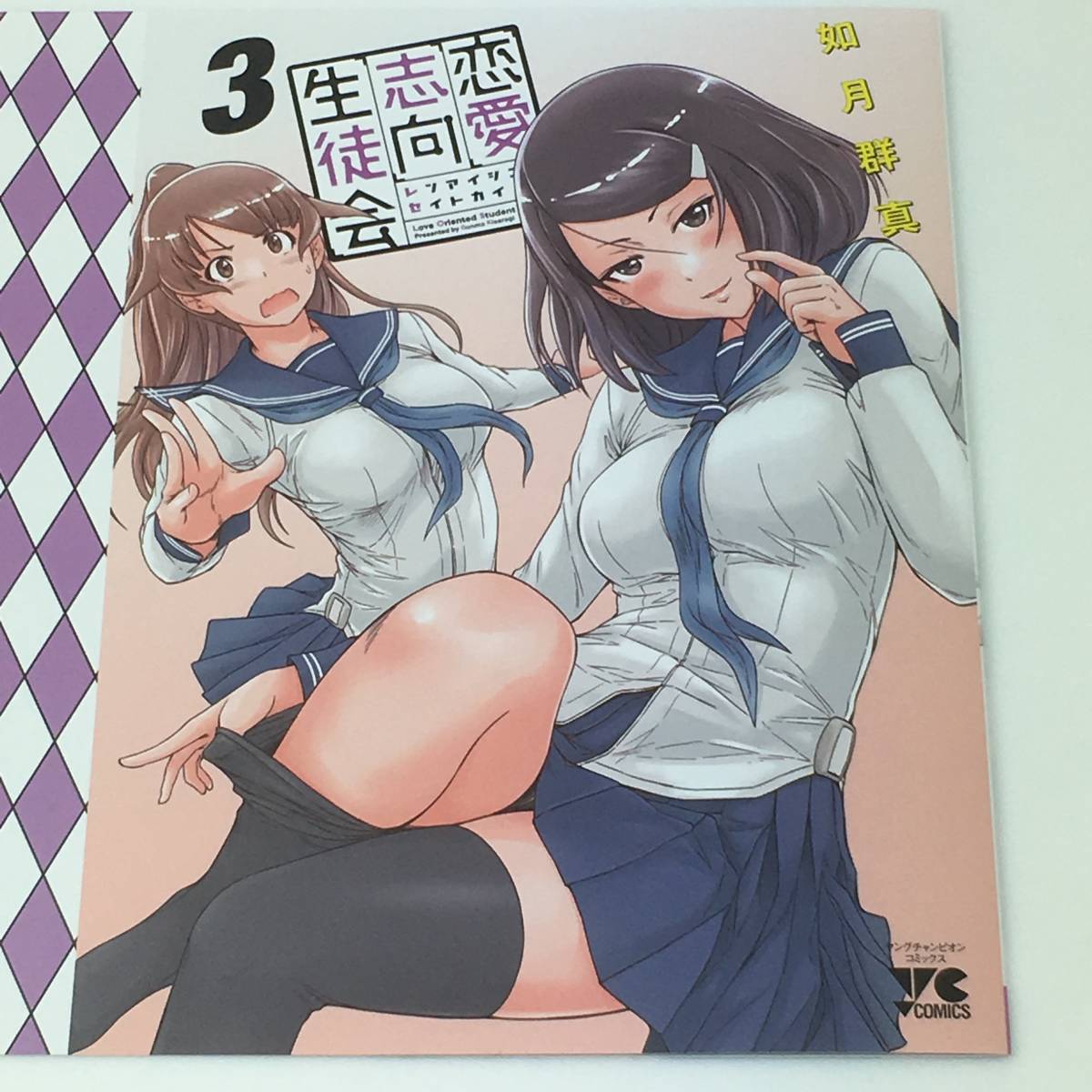 新品】恋愛志向生徒会 3巻 ゲーマーズ特典 ブックカバー コミックス