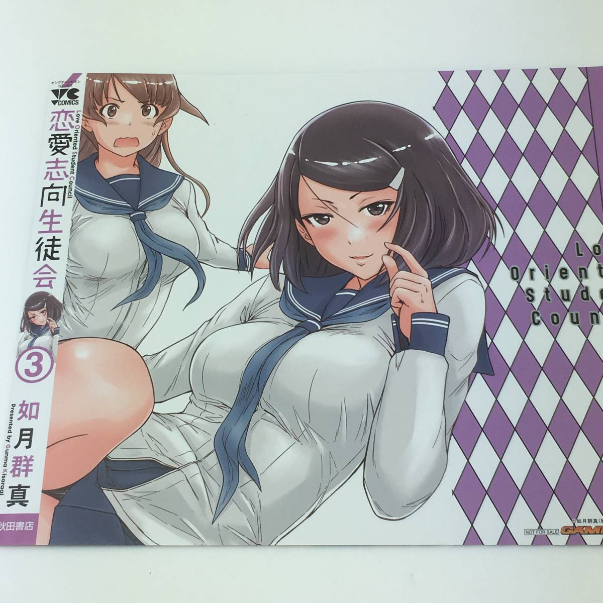 新品】恋愛志向生徒会 3巻 ゲーマーズ特典 ブックカバー コミックス