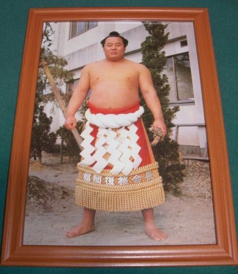 大相撲 第５１代横綱 玉の海 正洋 横綱姿 額 の落札情報詳細 ヤフオク落札価格情報 オークフリー スマートフォン版