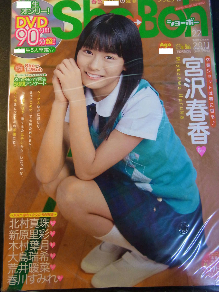 海王社ムック □ SHO-BOH ショーボー DVD90分 未開封 2011年 EARLY