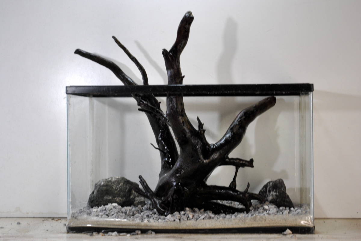 新品 沈水流木 60cm水槽 90cm 大型水槽追加にアクア根流木 検策 水草adaブランチ淡水魚 海水魚 大型流木 爬虫類テラリュウム の落札情報詳細 ヤフオク落札価格情報 オークフリー スマートフォン版