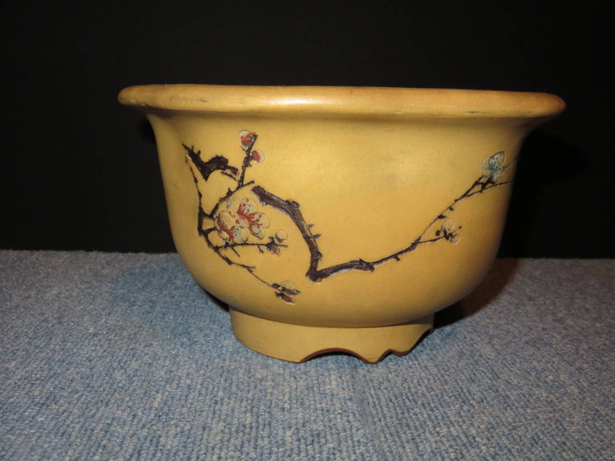 ♪♪☆中国古盆器【中國宜興】【紅雨刻】白泥釘彫り梅花・漢文図 外縁