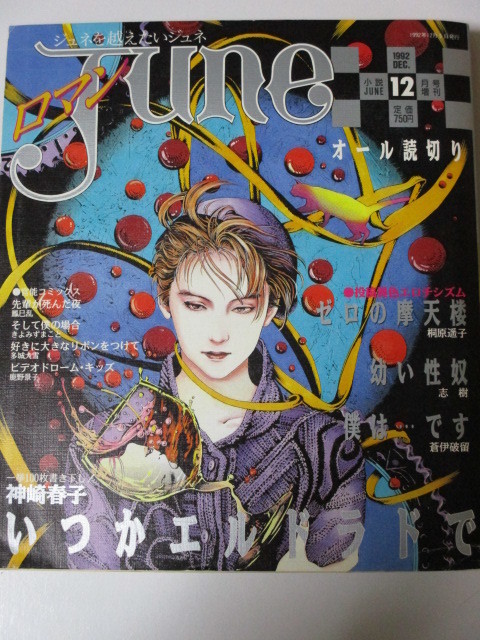 小説JUNE、大JUNE、ロマンJUNE、別冊JUNEその他 - メルカリ