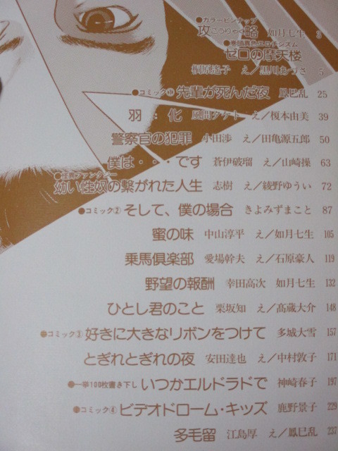 小説JUNE、大JUNE、ロマンJUNE、別冊JUNEその他 - メルカリ