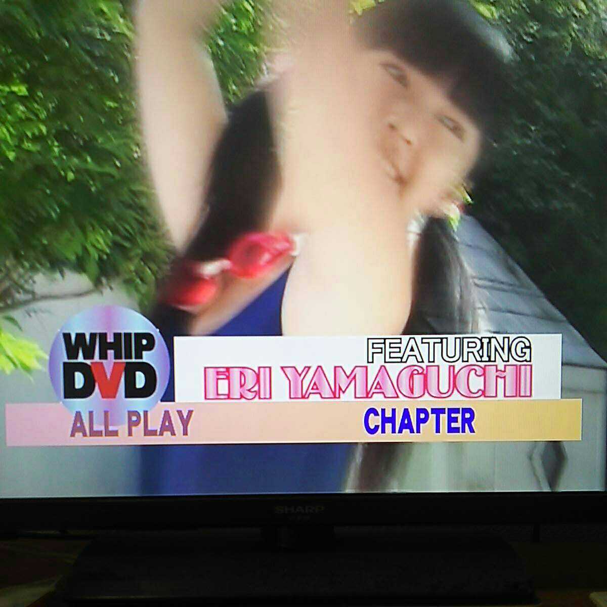 WHIP ホイップ 2009年11月号．12月号．2010年4月号 付録DVD（ディスク