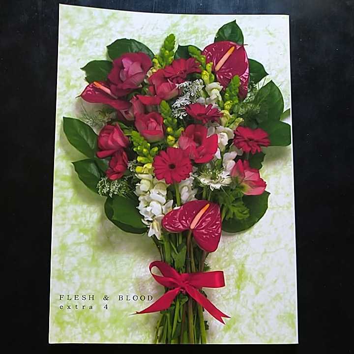 同人誌 小説 Flesh Blood Extra4 学園フレッシュ アンド ブラッド2 サブローサ 松岡なつき の落札情報詳細 ヤフオク落札価格情報 オークフリー スマートフォン版