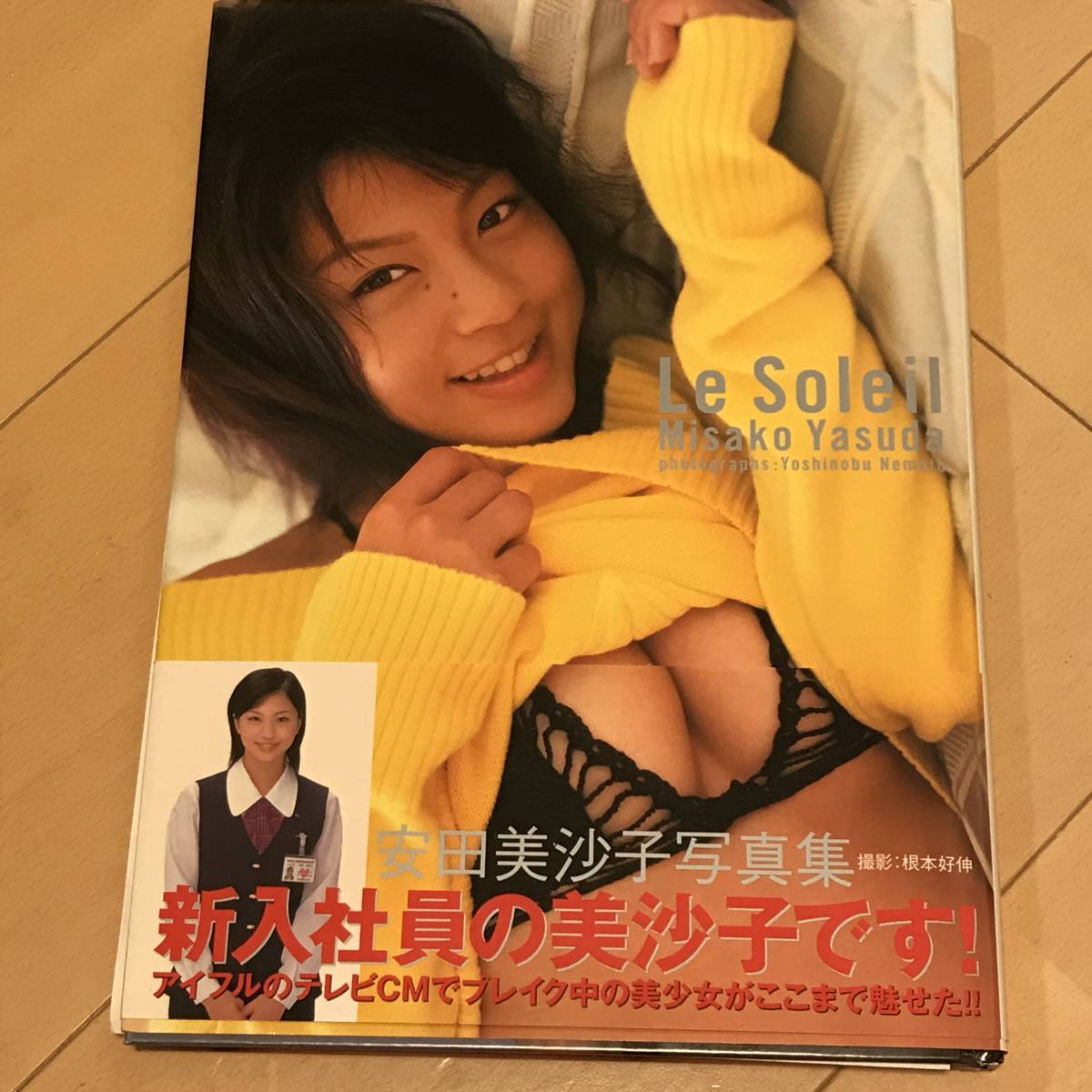 中古 写真集719 安田美沙子写真集 Le Soleil の落札情報詳細 ヤフオク落札価格情報 オークフリー