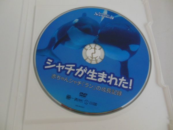 鴨川シーワールド　DVD シャチが生まれた　赤ちゃんシャチ「ラン」の成長記録 MD【K03-137】【送料無料】シャチが生まれた！ 赤ちゃんシャチ「ラン