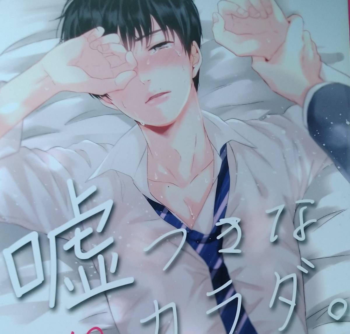 嘘つきなカラダ 前編 Unap まいね おっさんずラブ Ol 牧春 同人誌 Bl 漫画 中古品 状態 の落札情報詳細 ヤフオク落札価格情報 オークフリー スマートフォン版