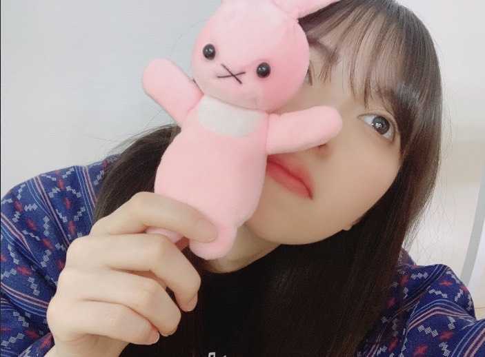 新品 映画 映像研には手を出すな うさぎぬいぐるみレプリカ 齋藤飛鳥 浅草みどり の落札情報詳細 ヤフオク落札価格情報 オークフリー スマートフォン版