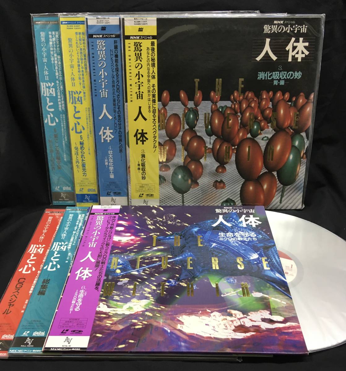 NHKスペシャル 驚異の小宇宙 人体 DVD BOX〈6枚組〉 DVD-BOX NHK