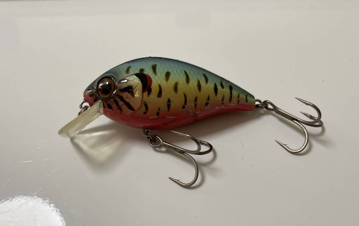 都内で A エバーグリーン Evergreen シャローホッグ Www Isole Greche Com