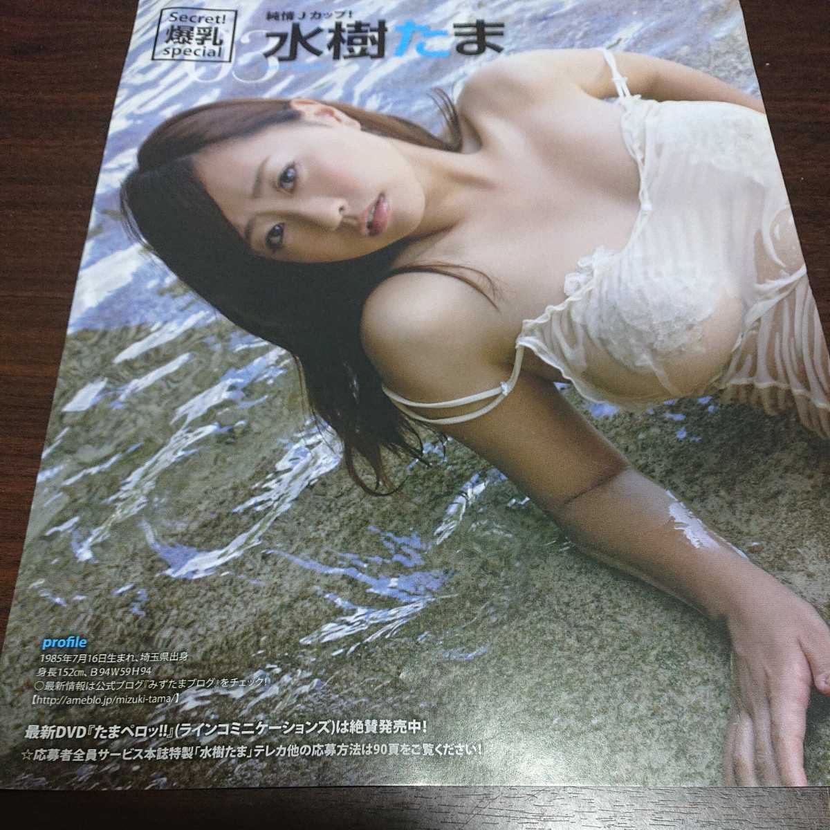 水樹たま 谷桃子 ずぶ濡れスイカップ 切り抜き の落札情報詳細 ヤフオク落札価格情報 オークフリー スマートフォン版