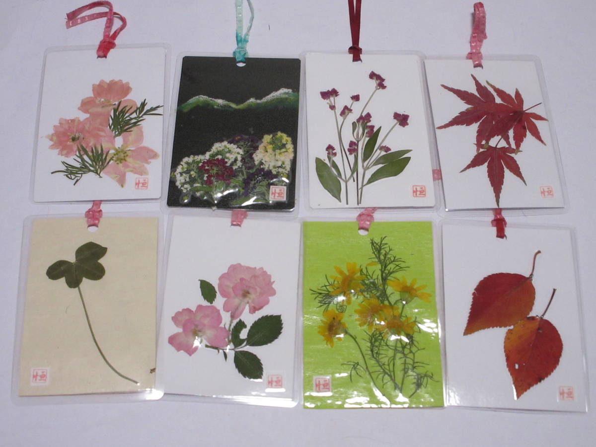 新品 押し花素材 3772 しおり８枚 の落札情報詳細 ヤフオク落札価格情報 オークフリー スマートフォン版