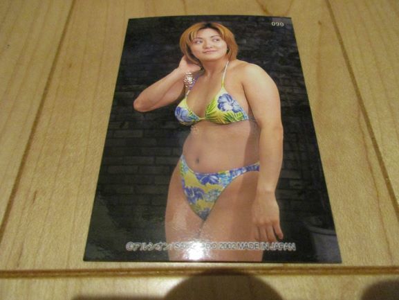 プロレスカード アルシオン02 浜田文子 No 90 の落札情報詳細 ヤフオク落札価格情報 オークフリー スマートフォン版