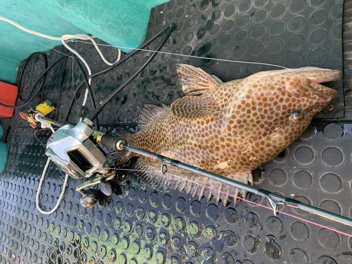 新品 落とし込み ゴクスぺ フルカーボンソリッド船竿 Gokuspecial Csl 195m 30 1号 Goku Csl の落札情報詳細 ヤフオク落札価格情報 オークフリー